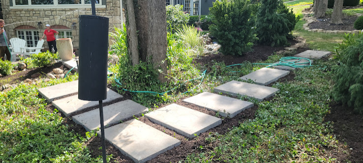 Woodland Restoration