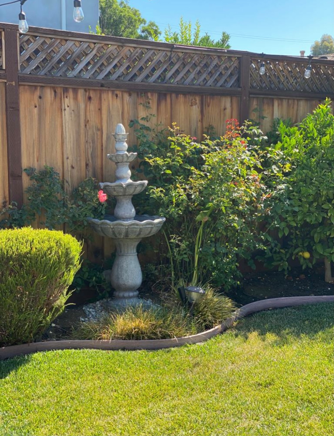 Exterior- Landscape Design