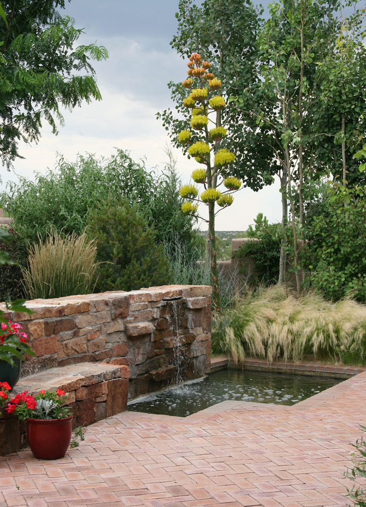 Design ideas for a mediterranean garden in Albuquerque.