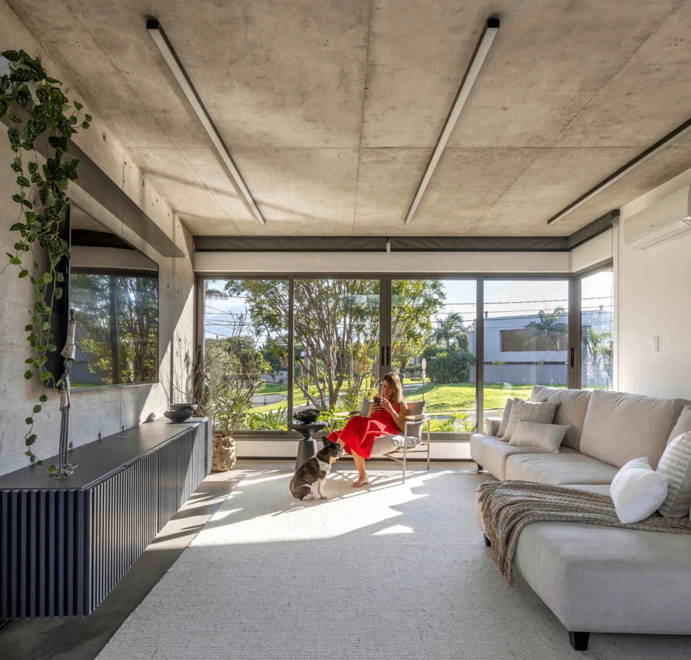 Ispirazione per un grande soggiorno minimalista aperto con pareti grigie, pavimento in cemento, parete attrezzata e pavimento grigio