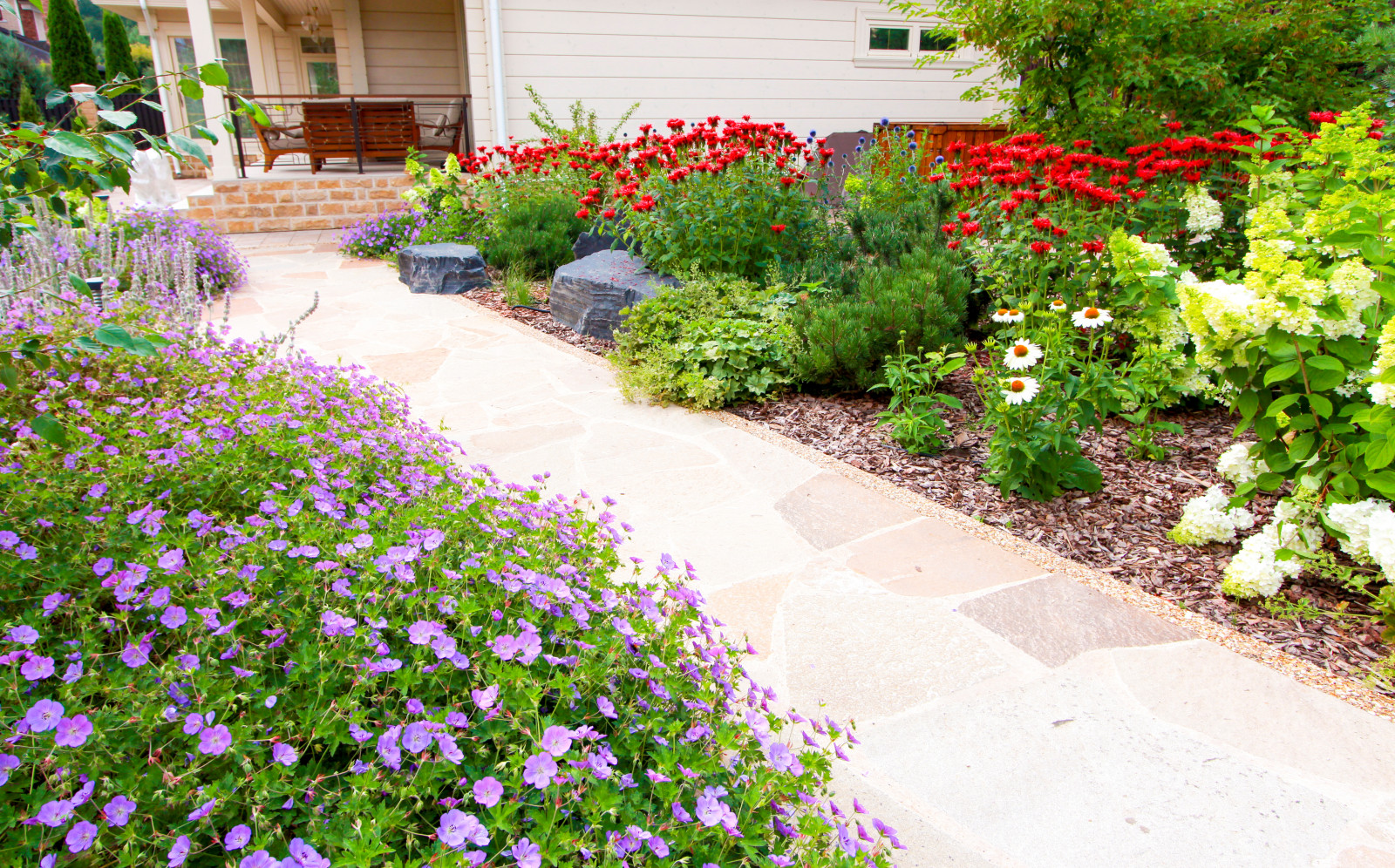 Павлово-2, 2022-2024 г.г.