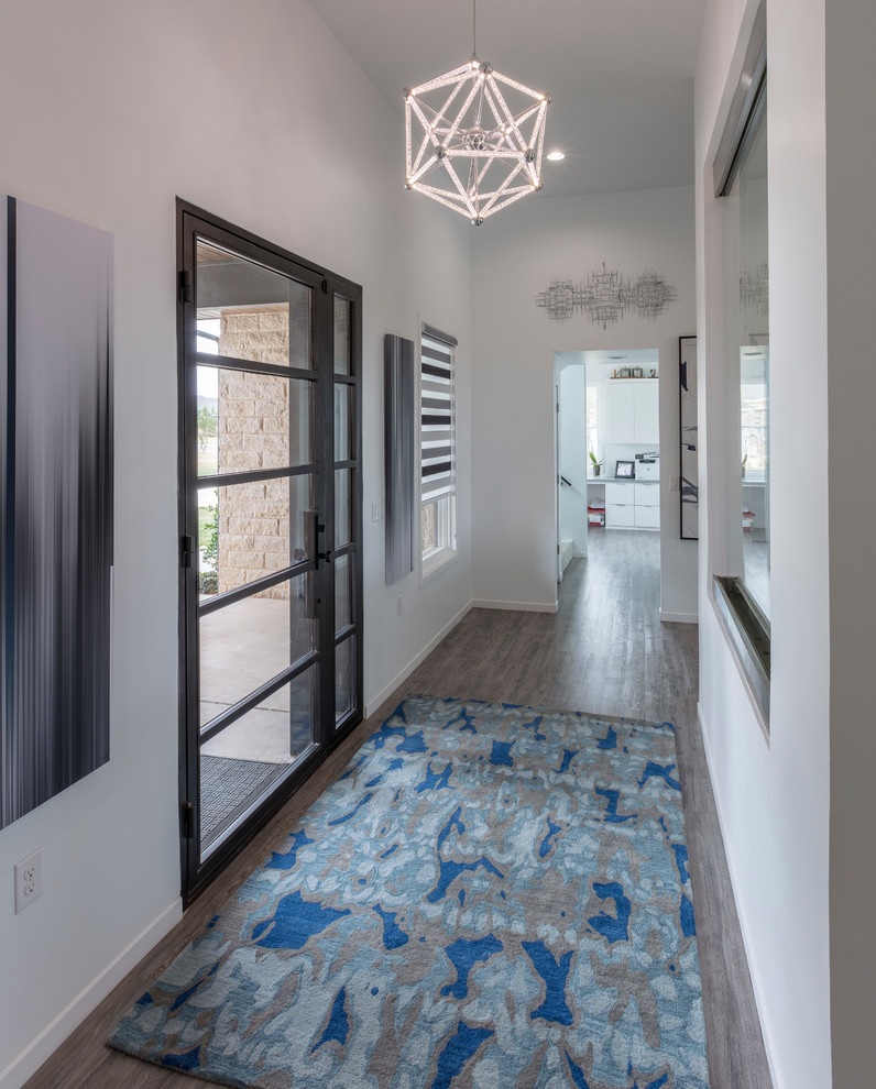 Mid-sized transitional vinyl floor and gray floor front door photo in Austin with gray walls and a glass front door