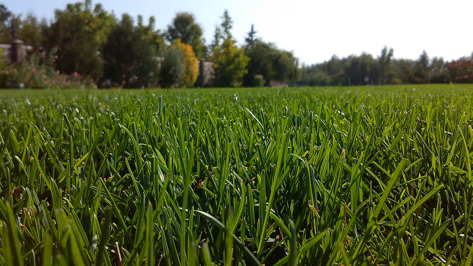 Уголок где хочется жить