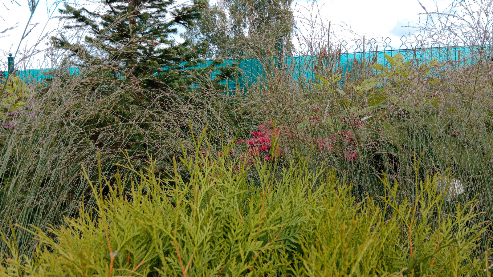 Серебрянный бор