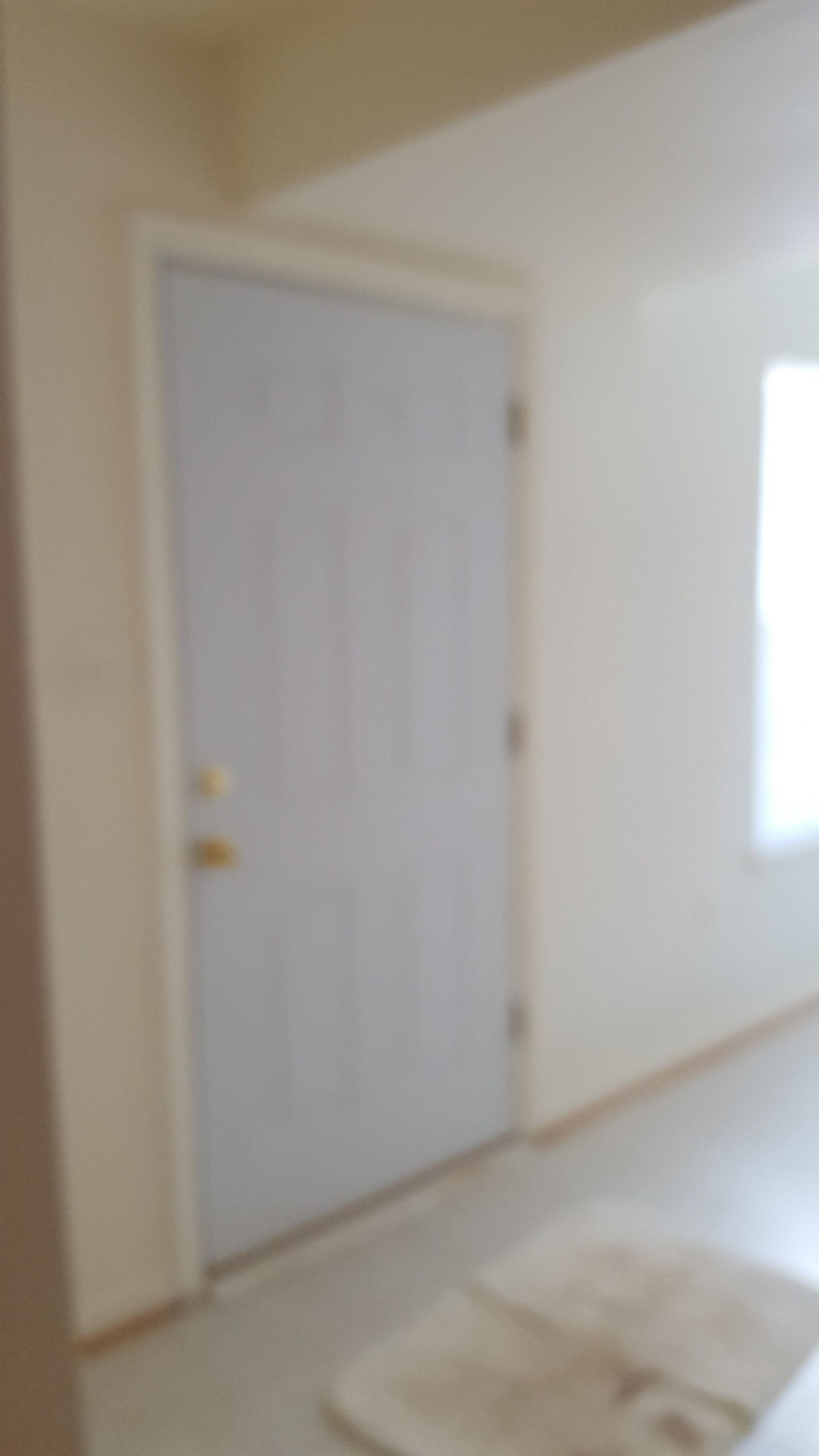 Entire Home Update/Remodel