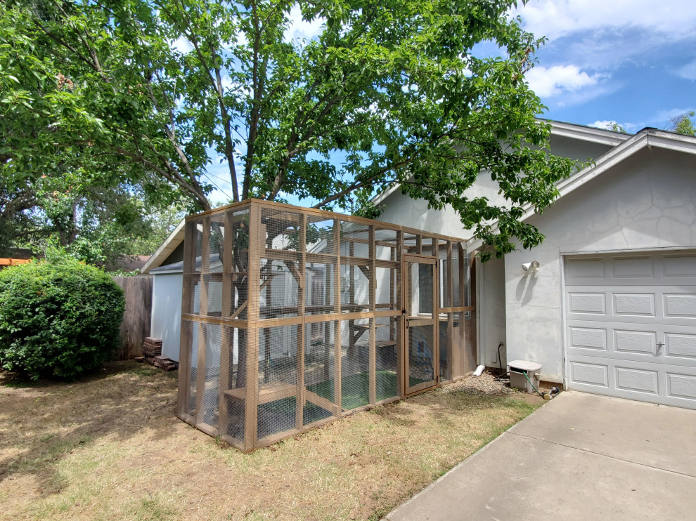 Custom Catio (Cat Patio)
