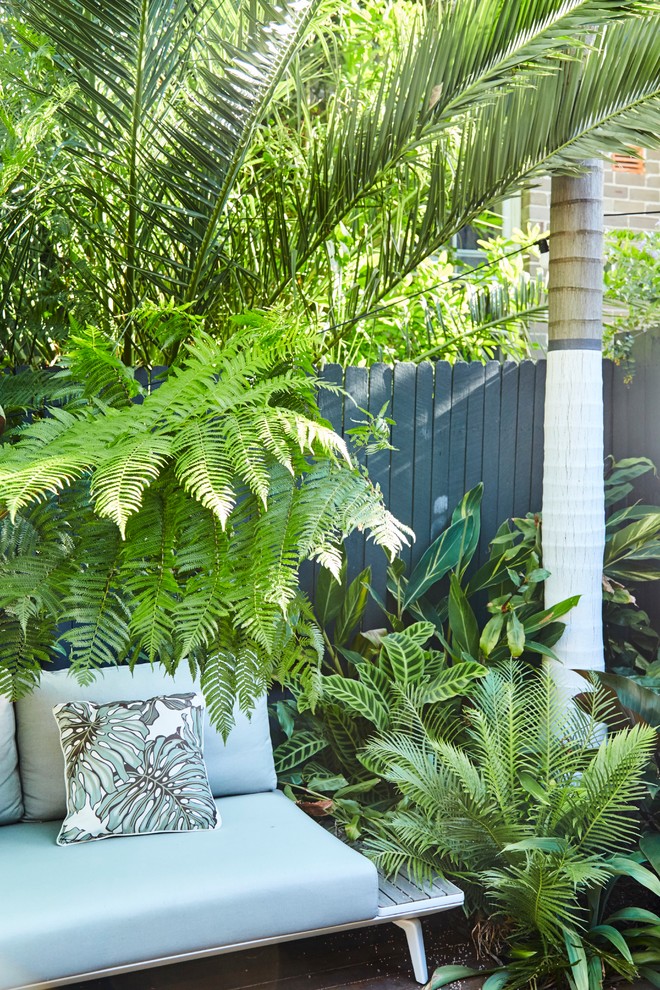 This is an example of a tropical home design in Sydney.