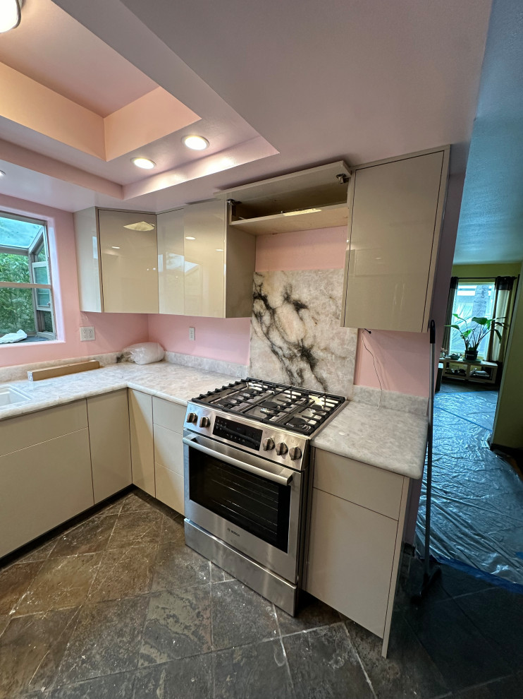 Petite Kitchen Renovation