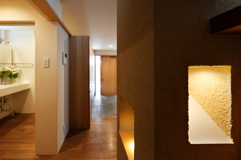 This is an example of a modern hallway in Other.