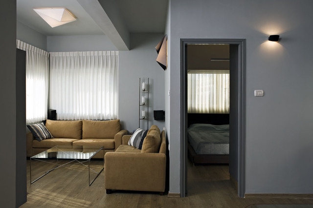  Small  Bachelor Apartment  Contemporary Living  Room  