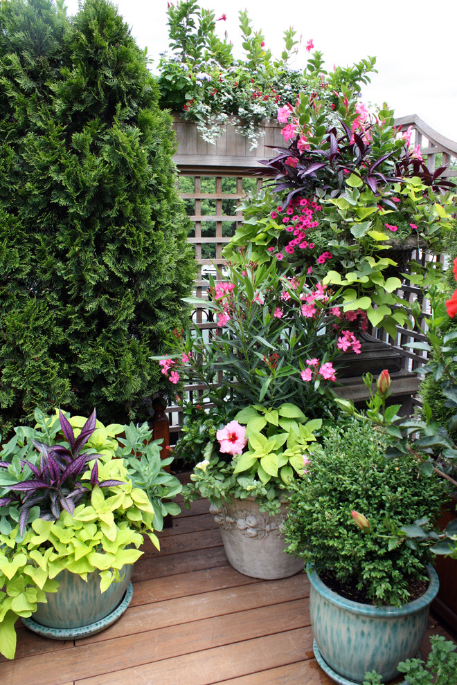 Example of a mountain style deck design in Boston