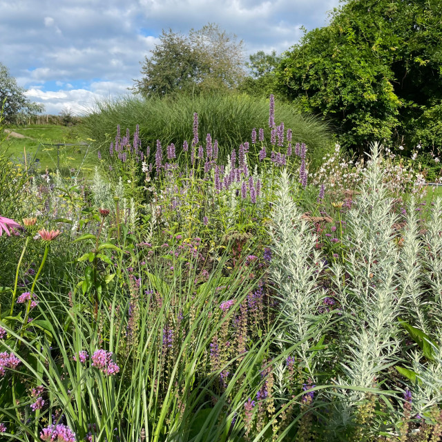 Naturgarten contemporary-garden