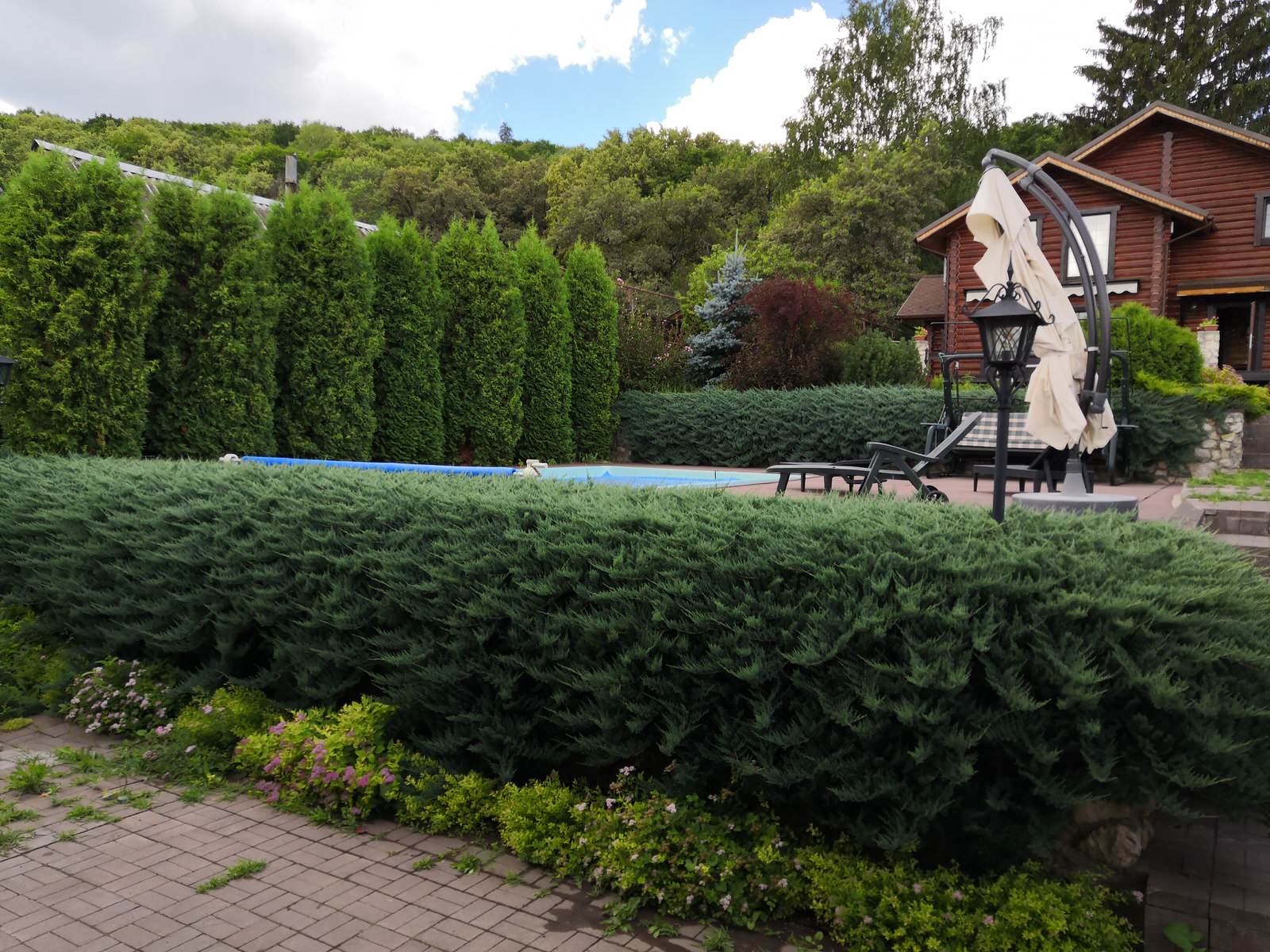 Среди Жигулевских гор