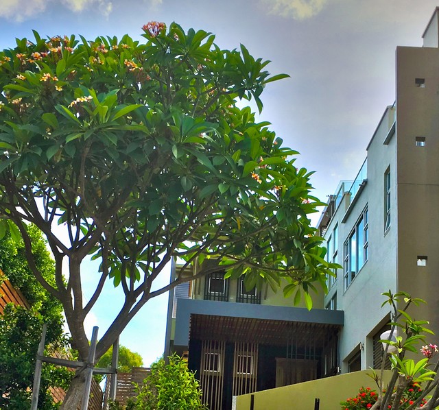 CH1 Castle Hill House NQld contemporary-entre