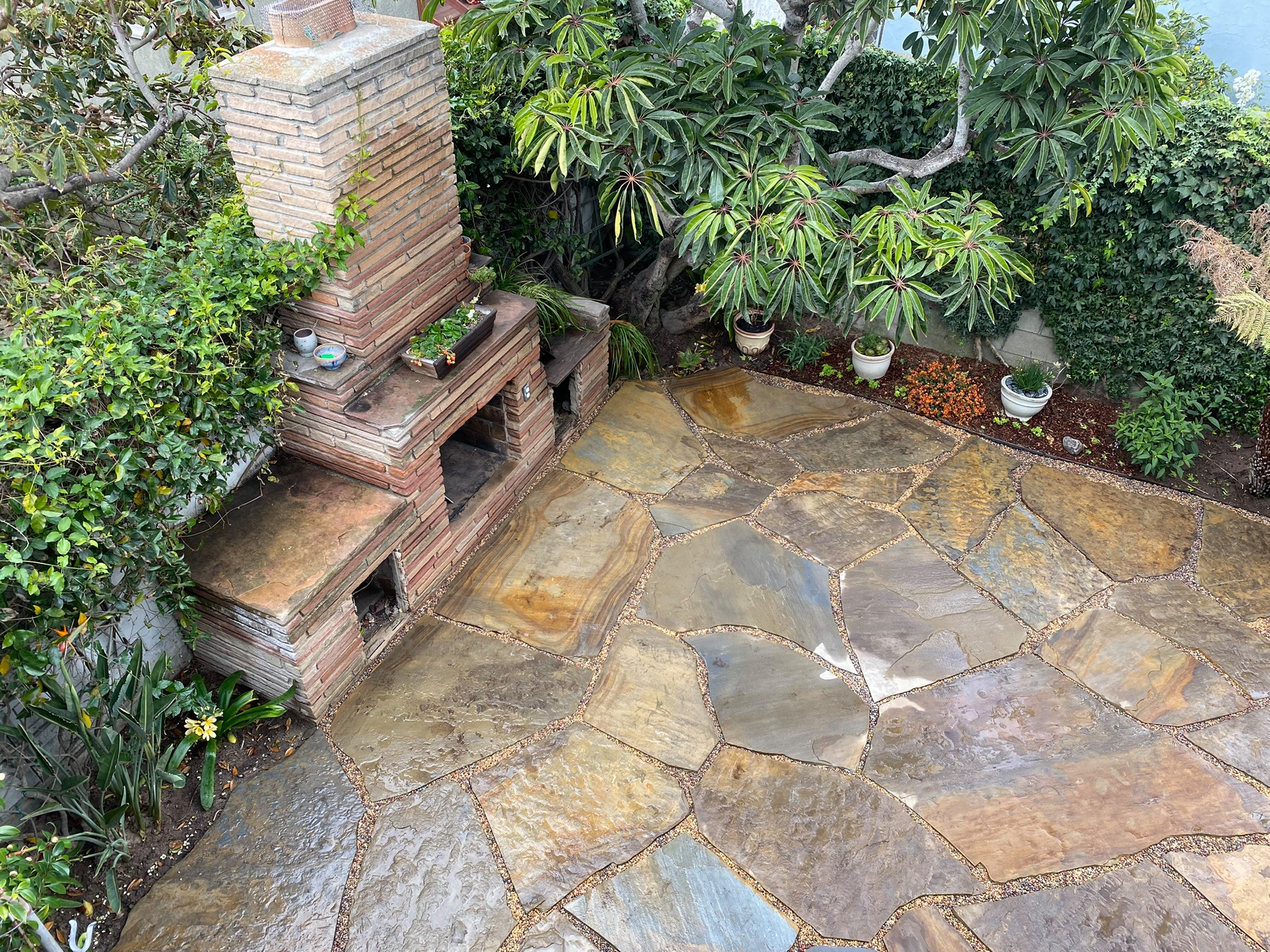 Hermosa Beach: Pollinator Garden