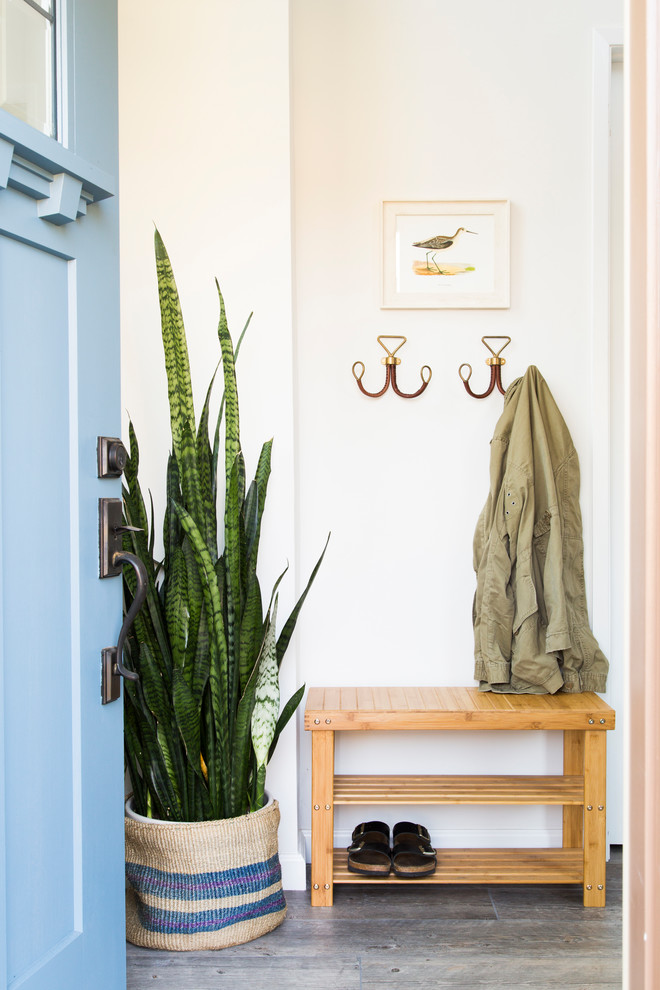 Photo of a beach style front door in San Francisco with white walls, medium hardwood floors, a single front door, a blue front door and grey floor.