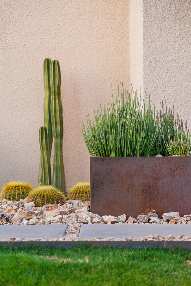 Photo of a mid-sized modern front yard full sun garden in Phoenix with a container garden.