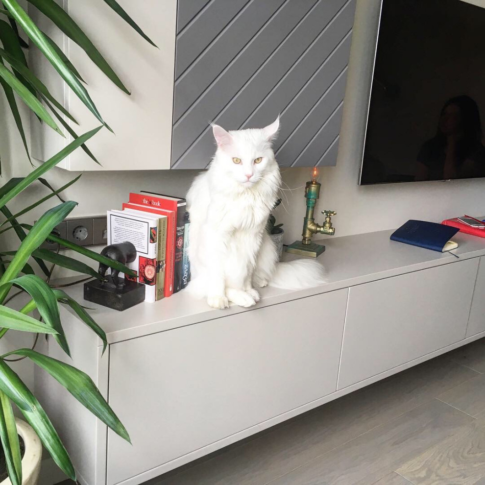 Дом кота Шерлока