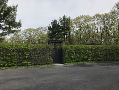 Privet Hedge that was hand pruned with apple ladder and pole and clip pruners. No power shears were ever used on this hedge. Peter Atkins and Associatesllc.com