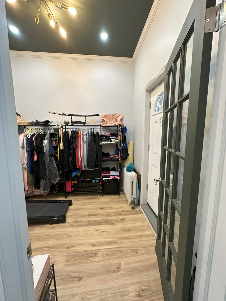 Primary Bedroom and Walk-in Closet Renovation