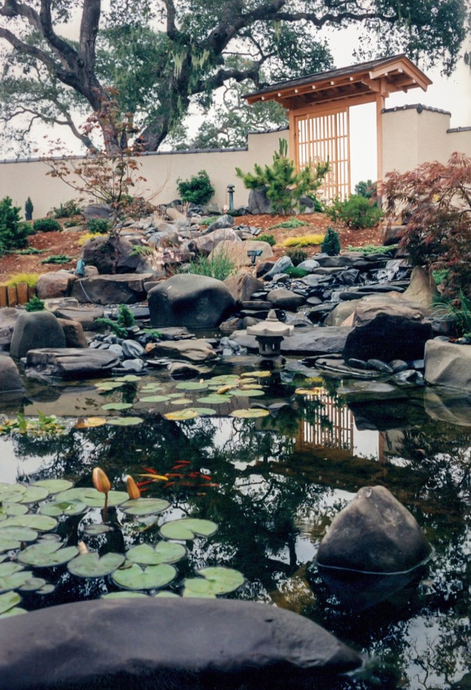 Design ideas for a large asian backyard garden in San Francisco with a water feature and mulch.