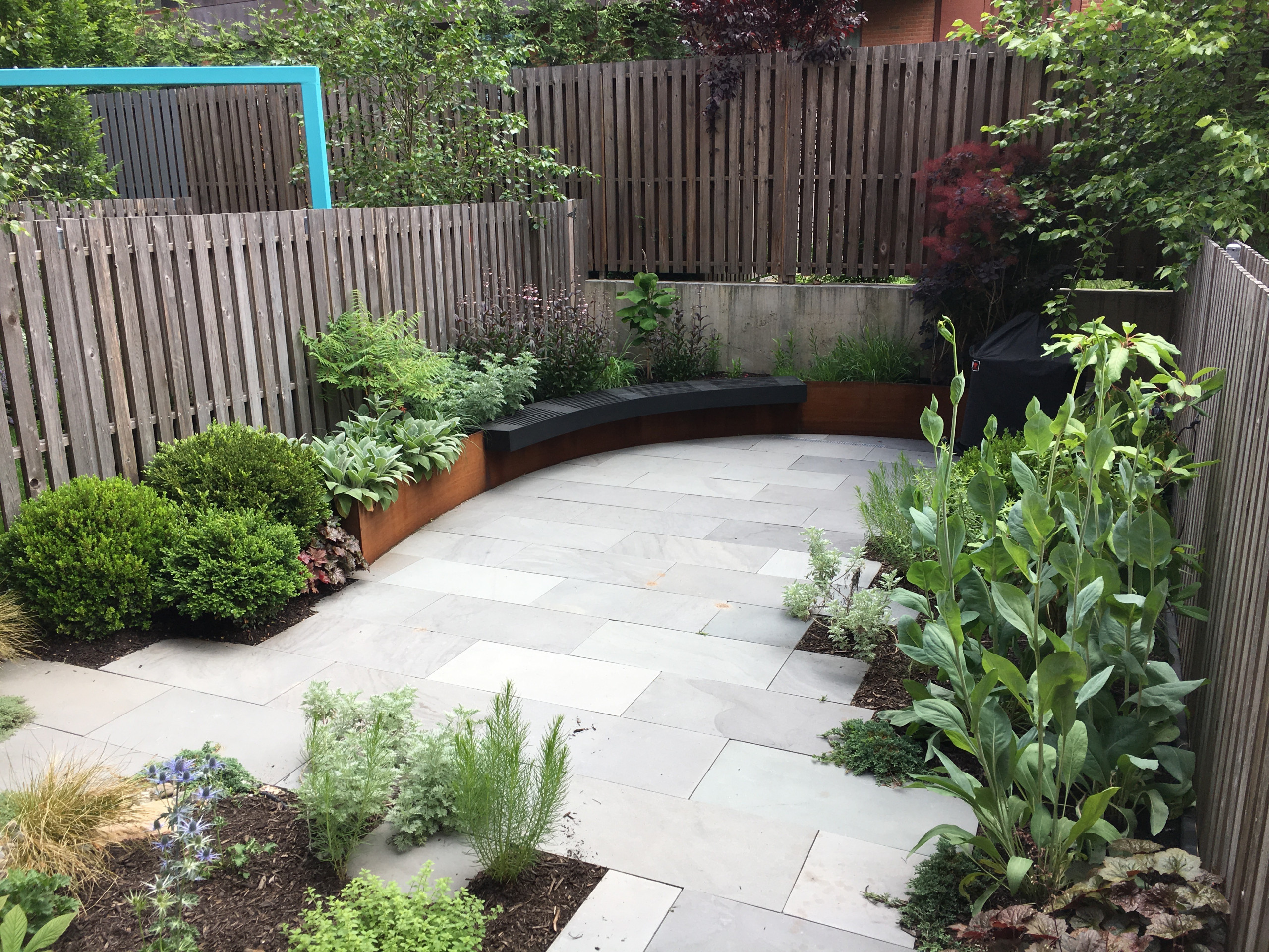 Modern Garden with Curved Corten Border