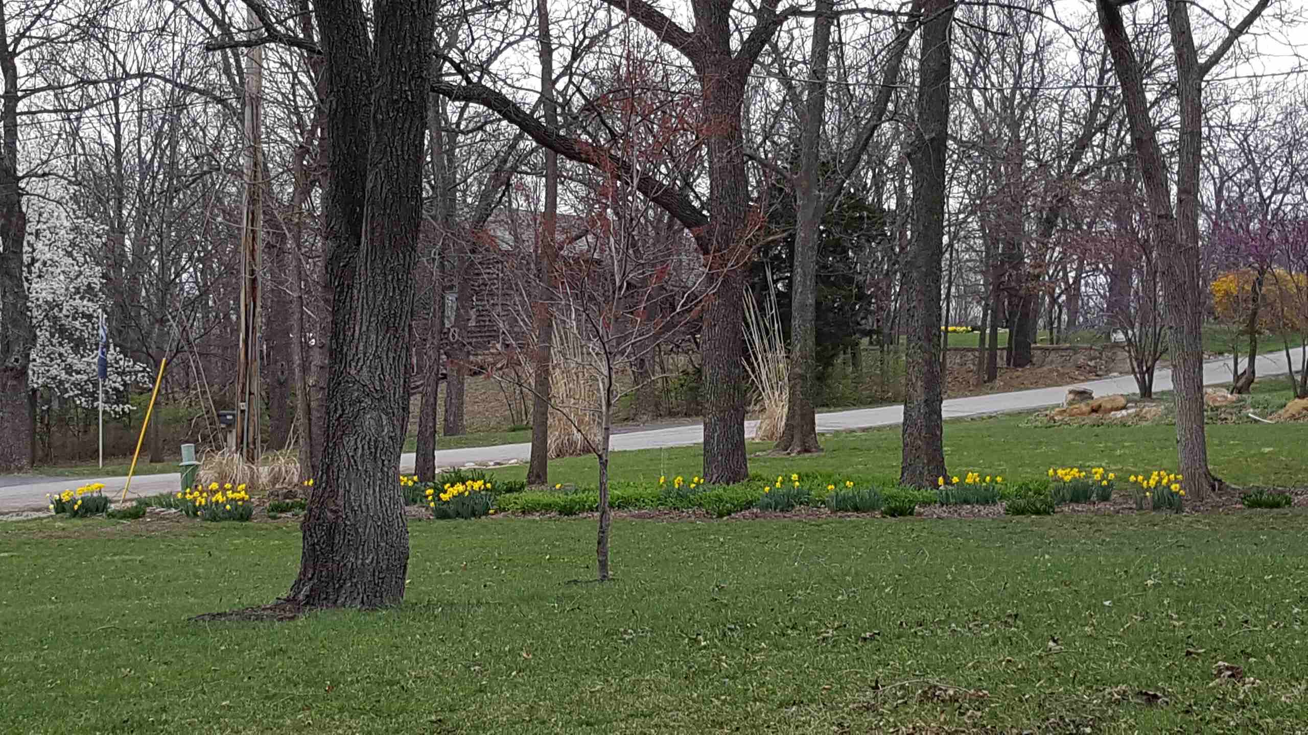 Spring Gardens $