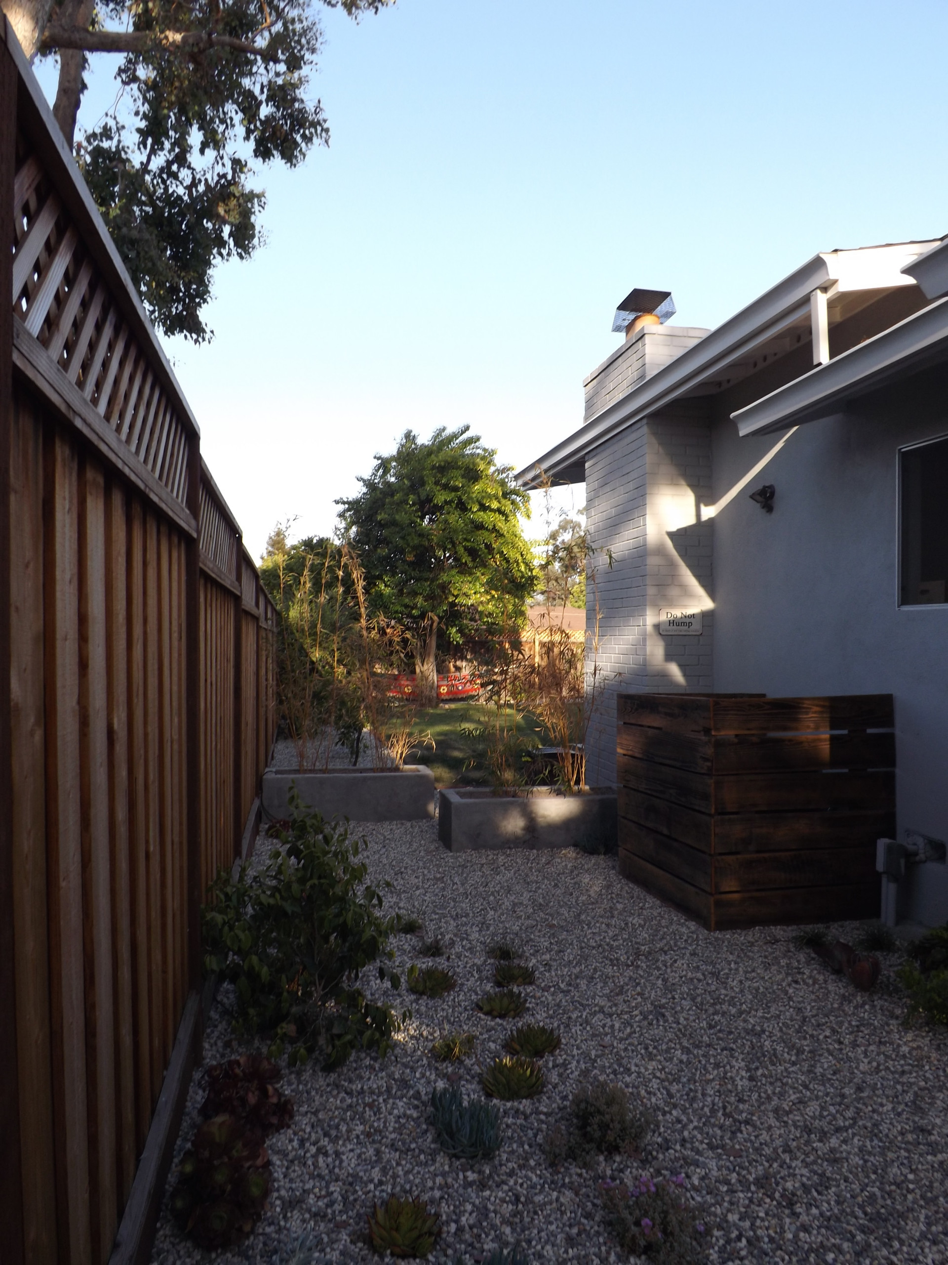 Saratoga side yard