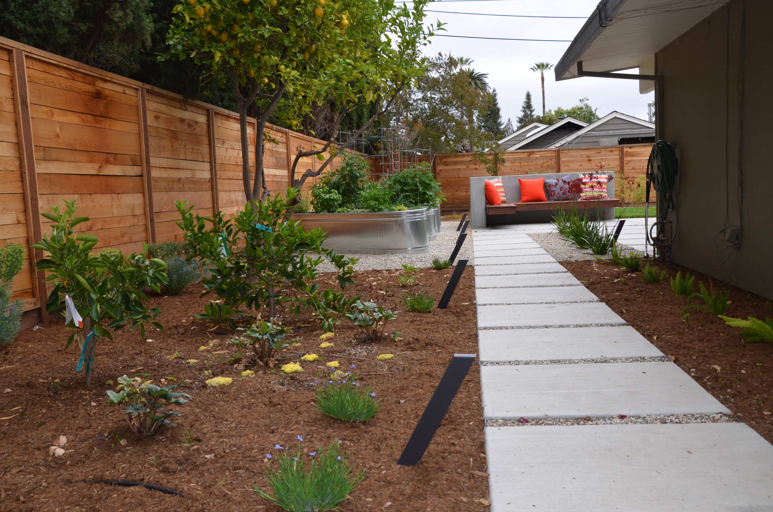 Willow Glen Eichler