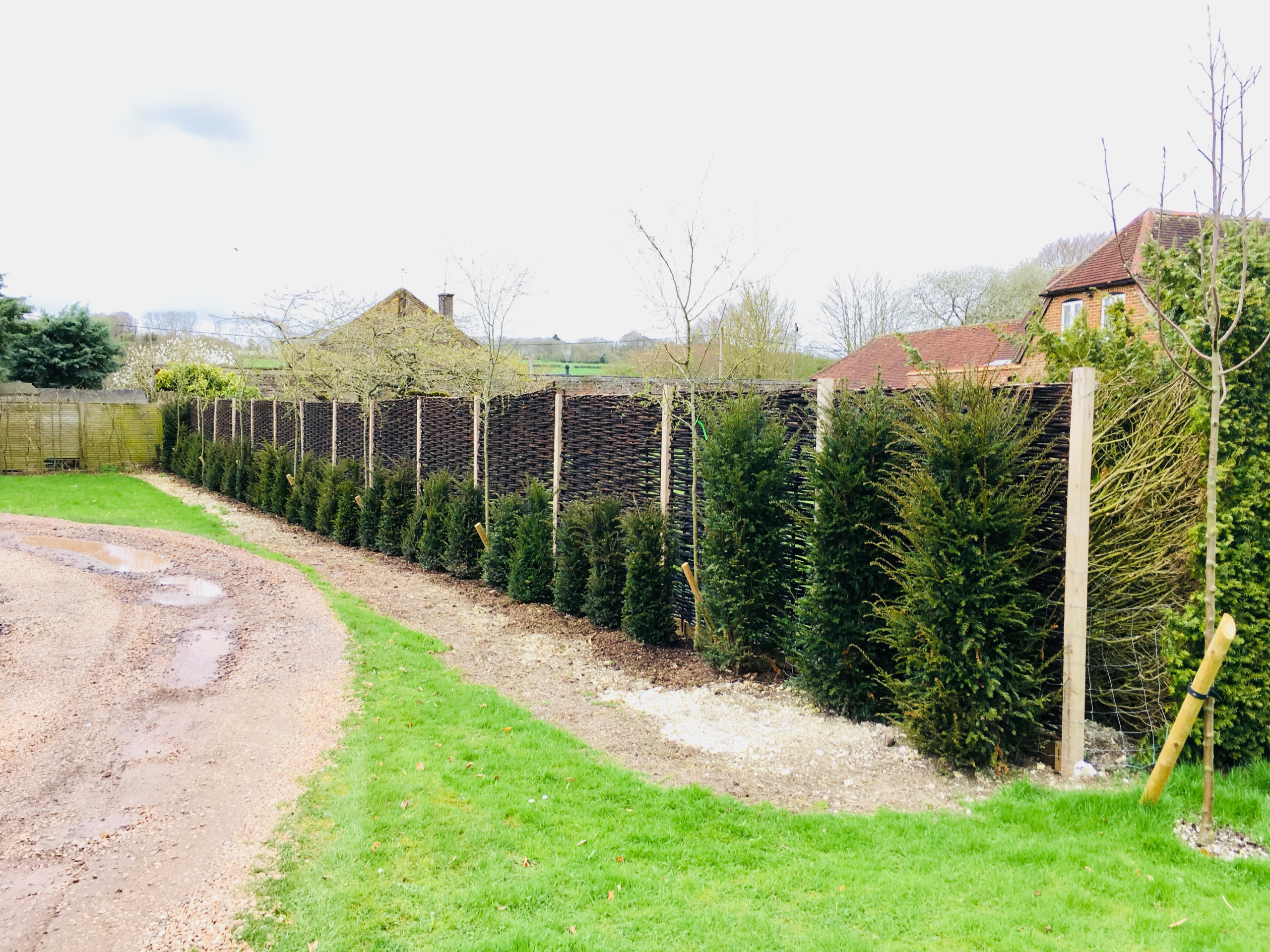 Garden Screening Ideas