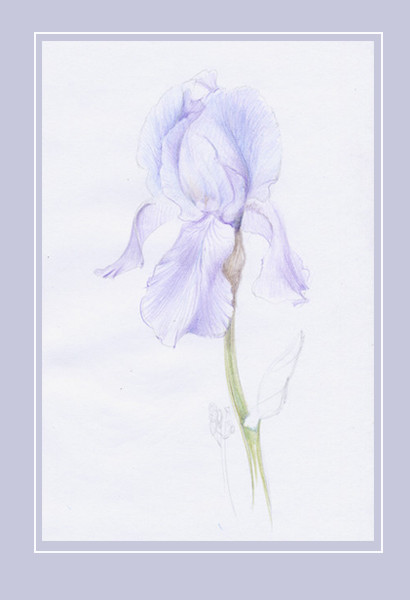 Акварельная графика