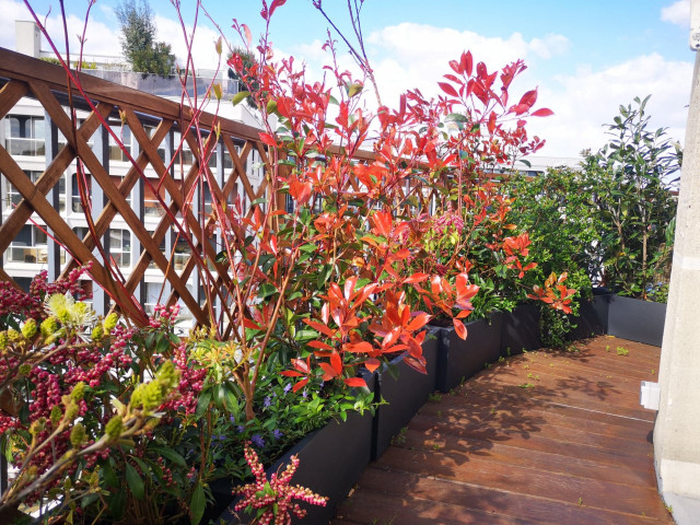 Terrasses contemporary-deck