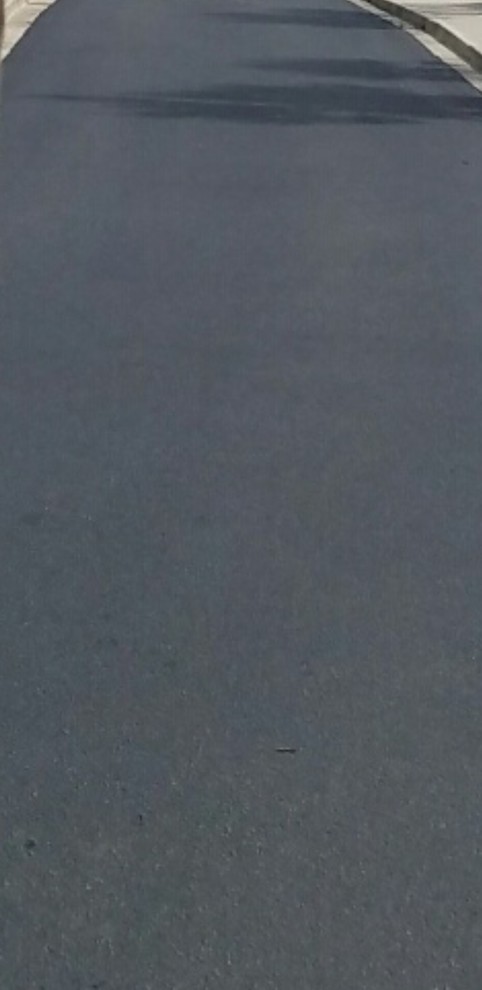 Paving Work