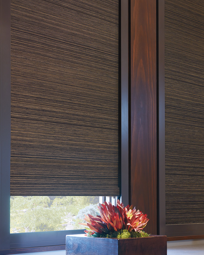 Hunter Douglas Designer Roller Shades and Window Shadings Other by