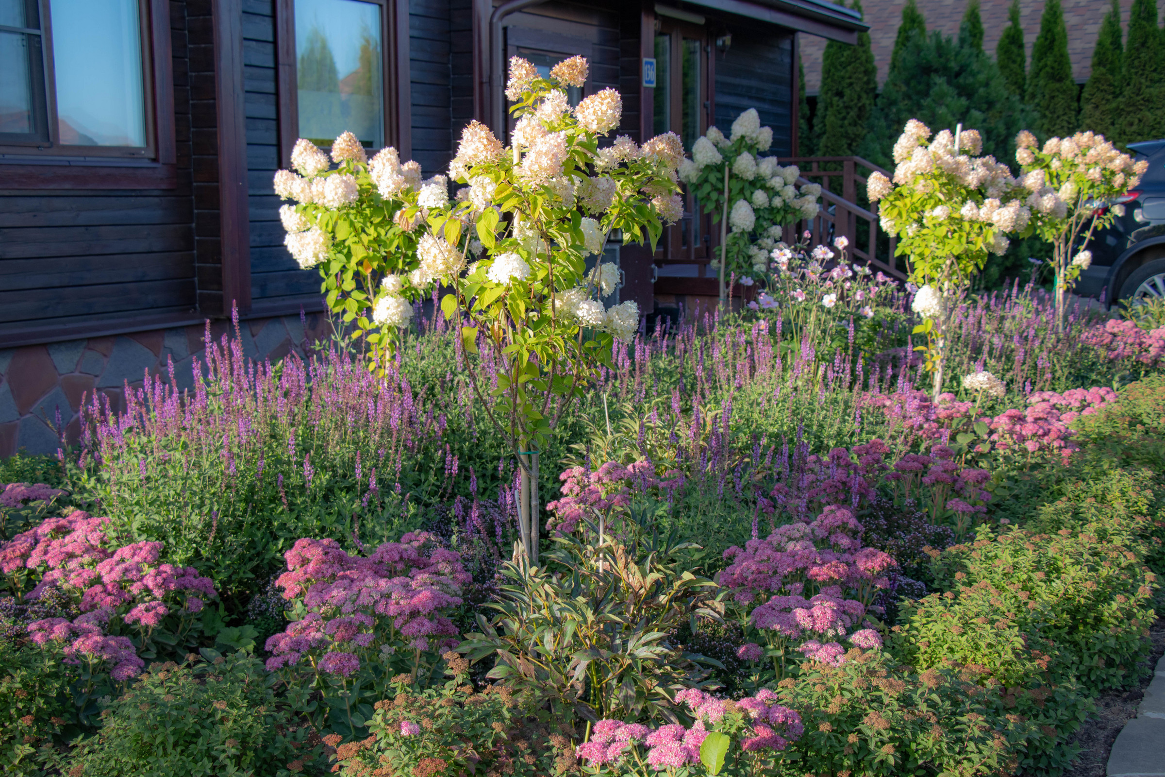 Сосновые берега