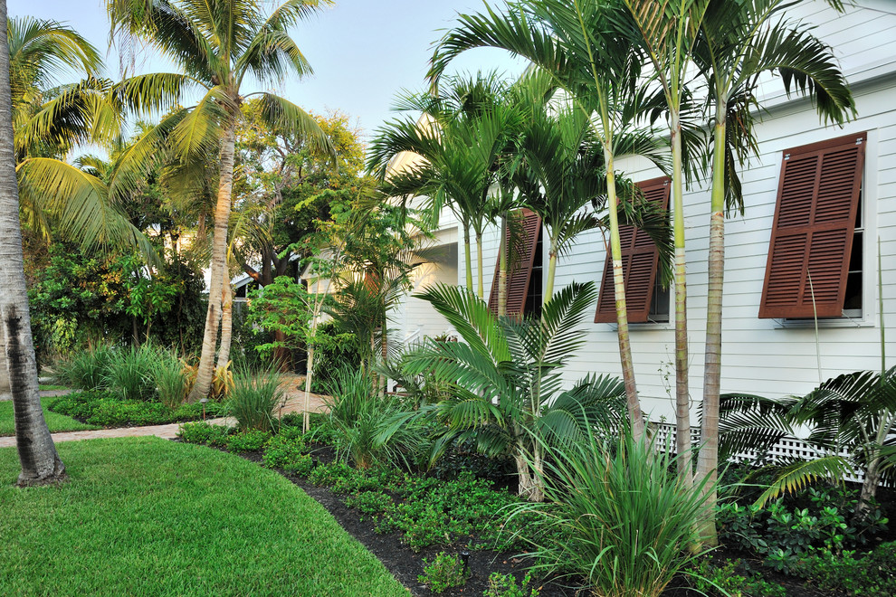 Inspiration for a tropical backyard garden in Miami.