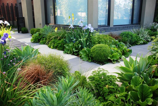 Ashburton contemporary-deck