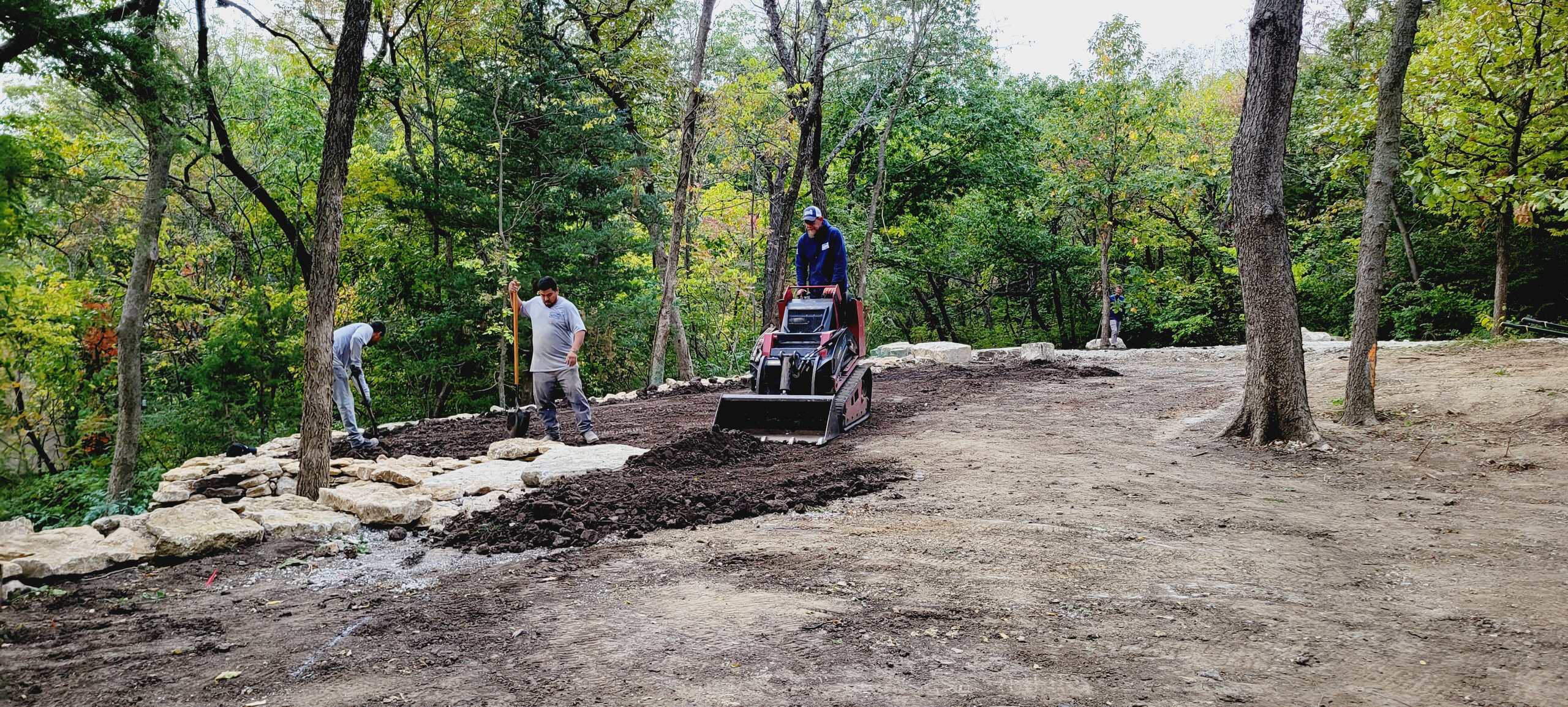 Woodland Restoration In Progress