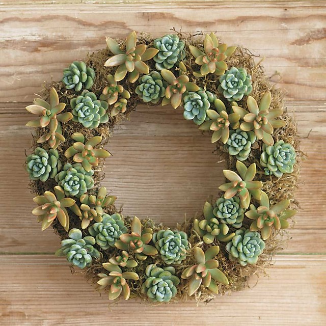 Mixed Green Succulent Wreath with Hanger