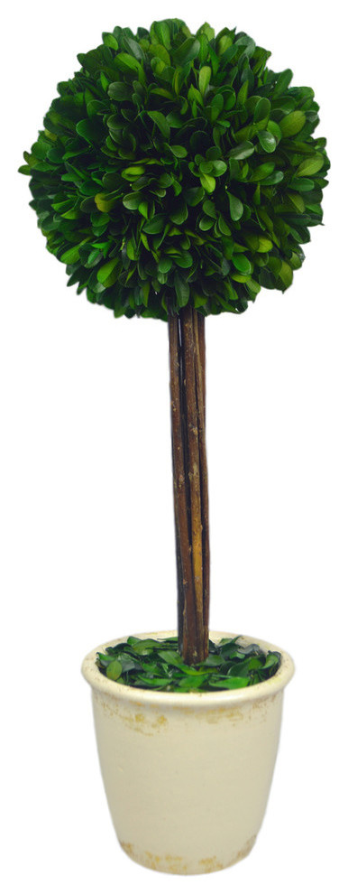 Boxwood Ball Topiary Planter, 18"
