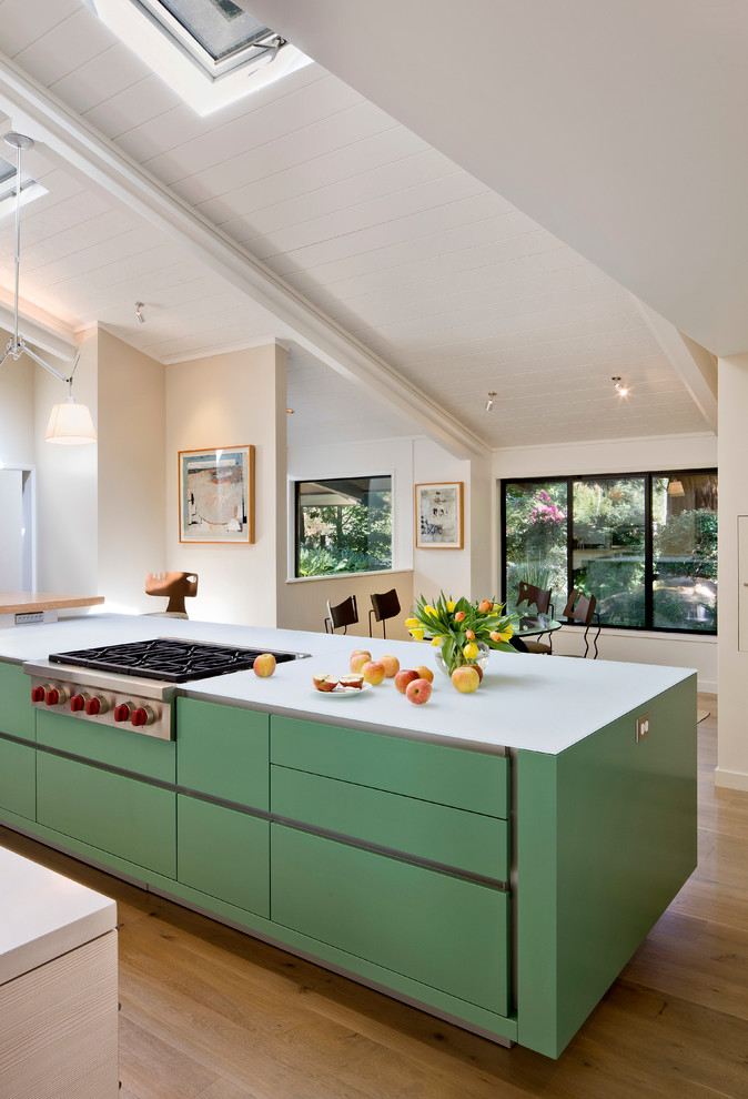Inspiration for a midcentury galley eat-in kitchen in Sacramento with an undermount sink, green cabinets and stainless steel appliances.