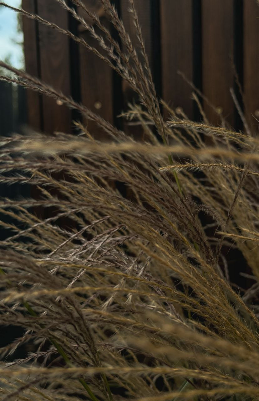 Реализованный проект КП Панорама