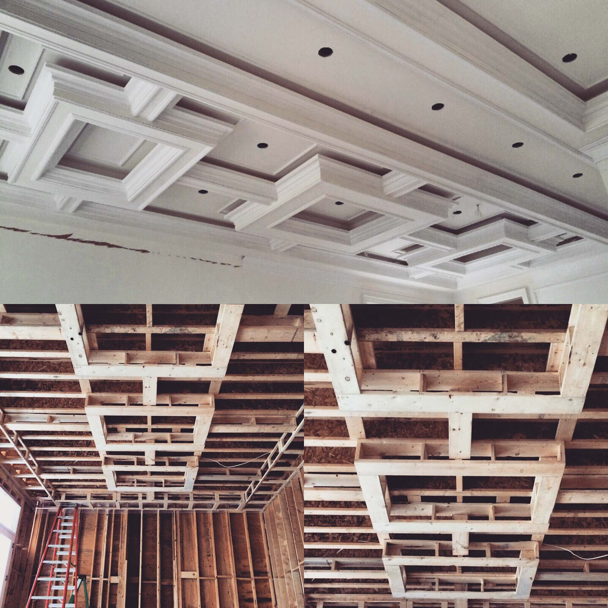 Project Oakville