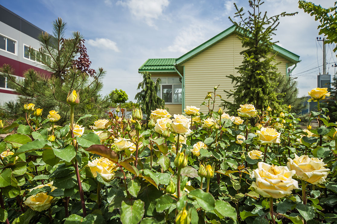 ландшафтный дизайн 2