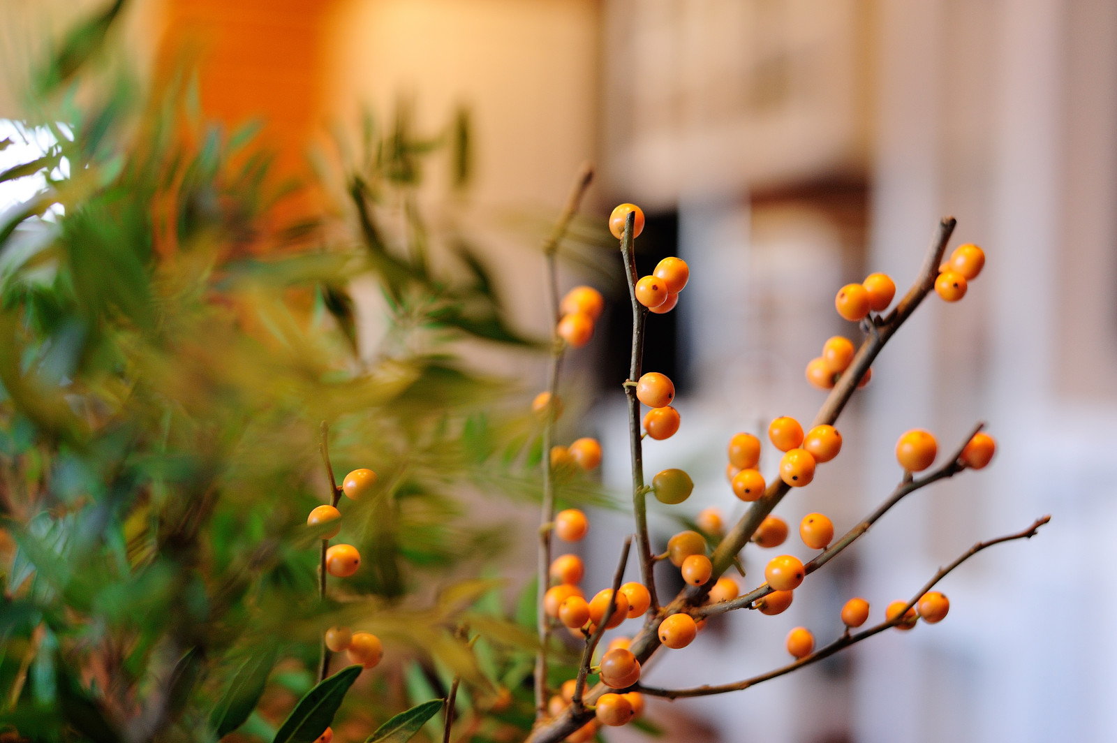 Бревенчатый дом для гостей