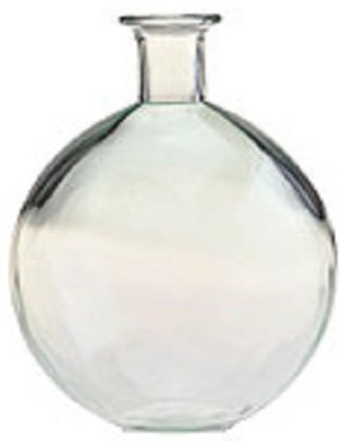 10-inch Globe Glass Vase