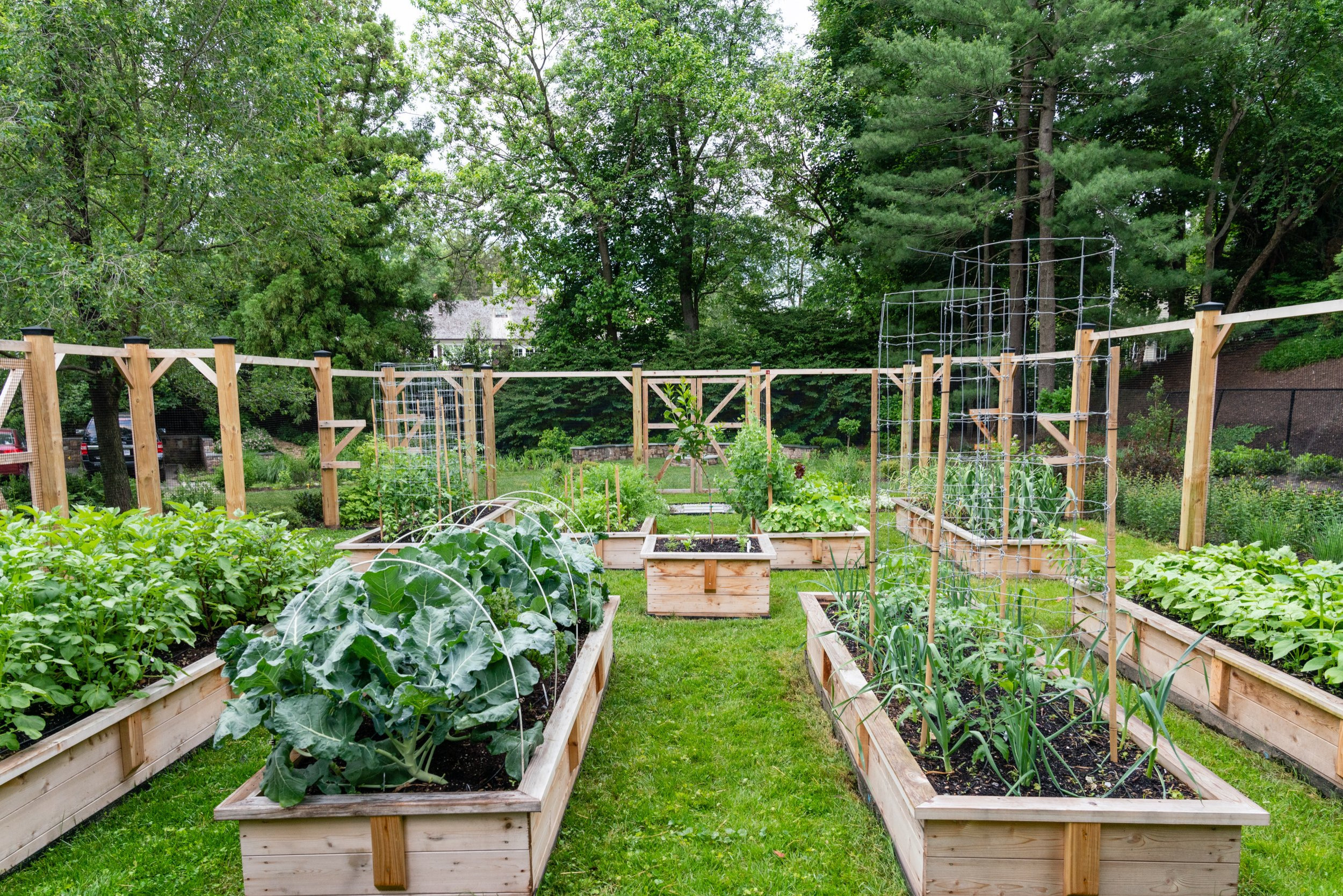 Raised Vegetable Garden System by Peter Atkins and Associates
