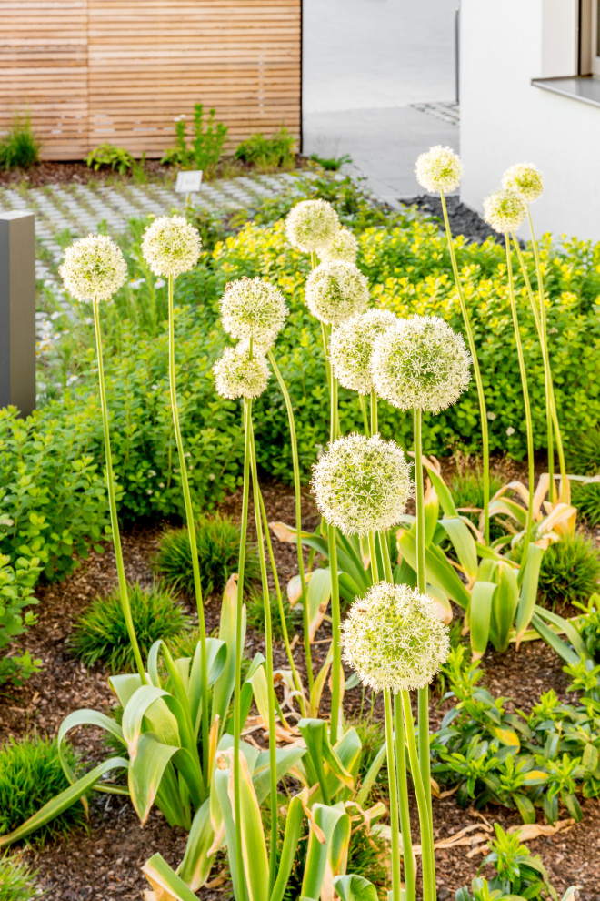 Garten mit Blumenbeet und Betonboden in Nuremberg