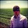 dave_thomsen
