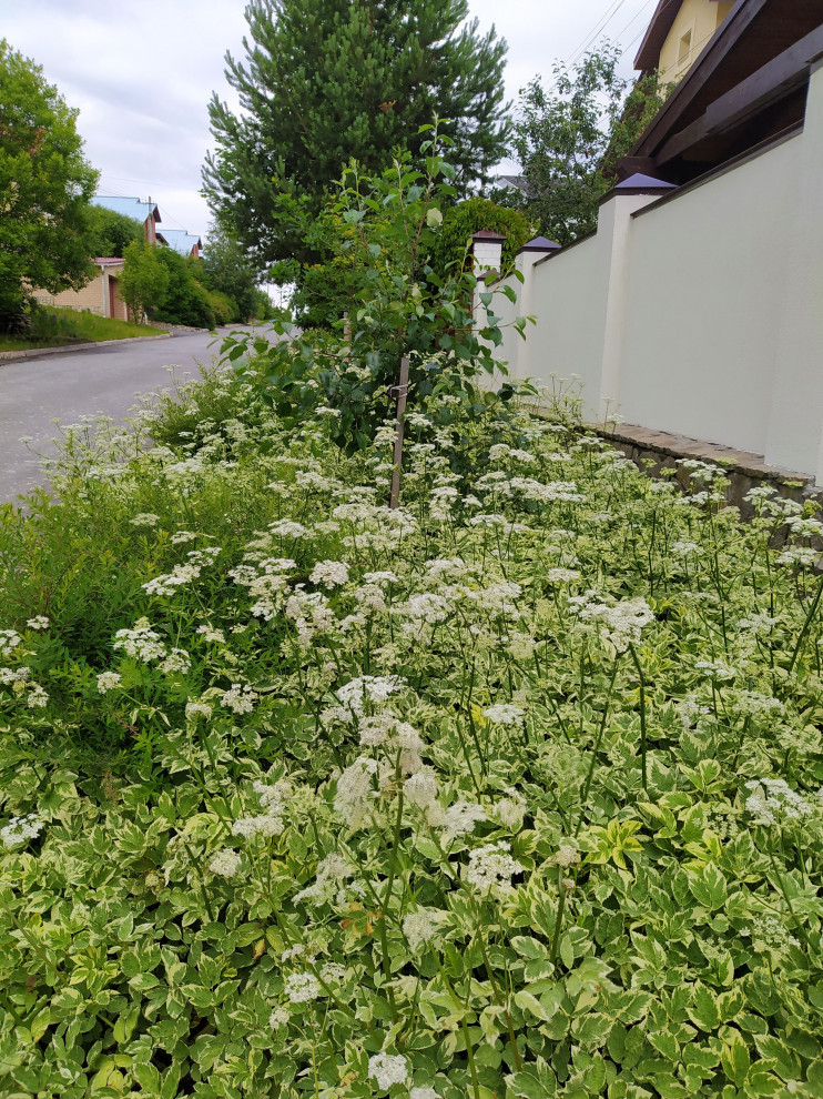 Токарево15 соток,